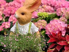 -人民公园(罗湖区)