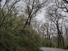 -萨尔浒风景区