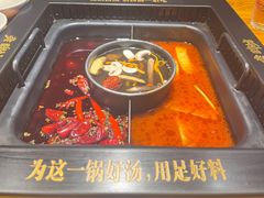-老牌坊云南鱼豆花火锅(嵩山店)