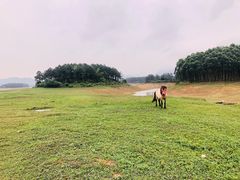 -台山川岛旅游度假区
