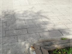 -老关东铁锅炖(上游街店)