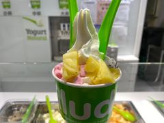 -Salud撒露欧洲冻酸奶(蓝色港湾店)