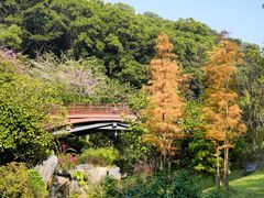 -云溪植物园