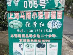 -马陆小张葡萄园农家乐