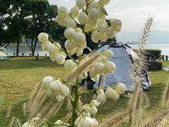 -东钱湖旅游度假区