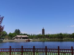 -西海子公园