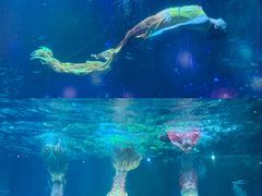 -海合安成都极地海洋公园