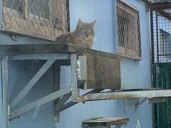 -青藏高原野生动物园