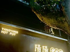 -阳阳老火锅(小南门店)