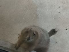 -苏州海洋馆