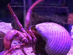 -太平洋海底世界