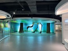 -盐城丹顶鹤湿地生态旅游区