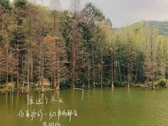 -广州市白云山风景名胜区