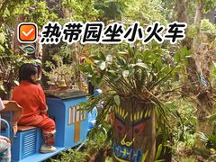 -呀路古热带植物园