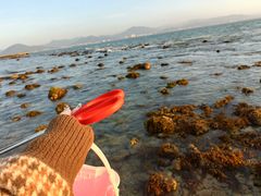 -三亚西岛海洋文化旅游区