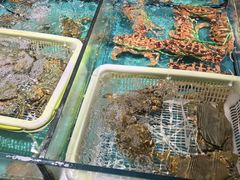 -拉完海鲜大排档(温岭店)