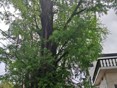 -西溪南古村落