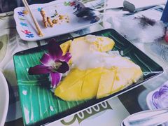 -Jungle Kitchen