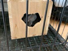 -百盛(莘庄店)