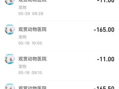 -北京观赏动物医院·24小时大型综合·猫专科·异宠专科