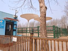 -秦皇岛野生动物园
