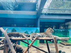 -昆明动物园