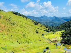 -大姆山草场