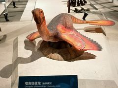 -国家自然博物馆