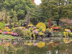 -杭州植物园