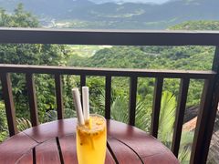 -三亚亚龙湾人间天堂鸟巢度假村