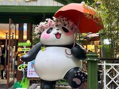 -轩客会(熊猫书店)