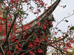 -望江楼公园
