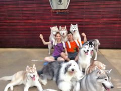 -TrueLove @ Neverland (Husky Cafe)