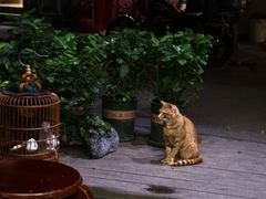 -巧云大馄饨(南阴阳营总店)