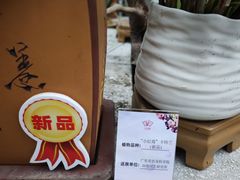 -广州兰圃