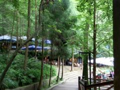 -都江堰普照寺