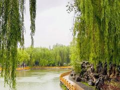 -金城公园