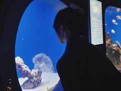 -泉城欧乐堡海洋极地世界
