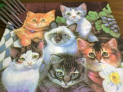 -李小姐の猫咖啡馆(五角场店)