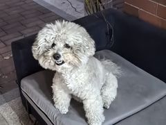 -何兮花店·气球派对鲜花店(马桥银春路万科城店)