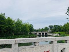 -澹台湖公园