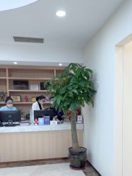 -上海伊莱美医疗美容医院