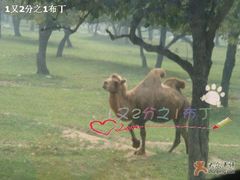 -西安秦岭野生动物园