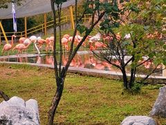 -哈尔滨北方森林动物园