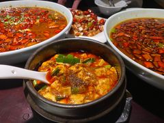 -陈麻婆豆腐总店