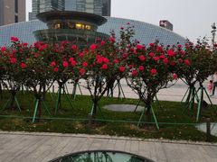 -钱江新城灯光秀