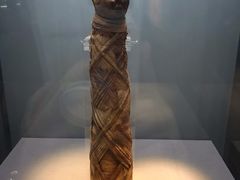 -浙江西湖美术馆