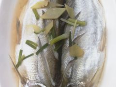 -湖山人家·湖景餐厅·特色农家菜(太湖西山店)