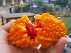 -水乡·印象咖啡馆(周庄店)