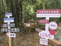 -英西峰林·洞天仙境